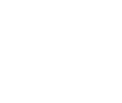 Mega Alpha Max Growth